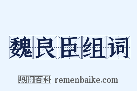 魏良臣组词是什么意思的图片